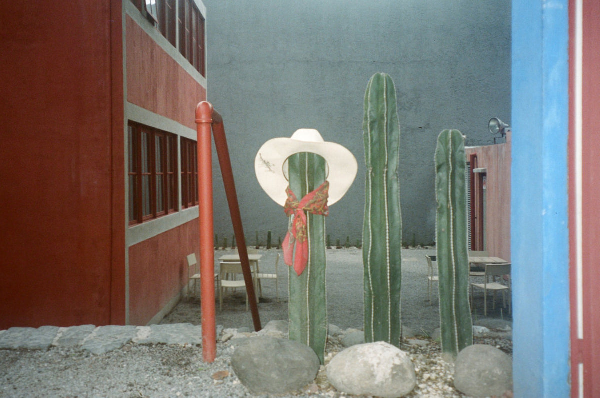 Photograph by Camille Cargill, Hillvale Photo Trophy 2026 entry #0125