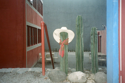 Photograph by Camille Cargill, Hillvale Photo Trophy 2026 entry #0125