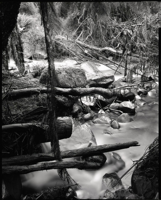 Photograph by Dave Carswell, Hillvale Photo Trophy 2026 entry #0126