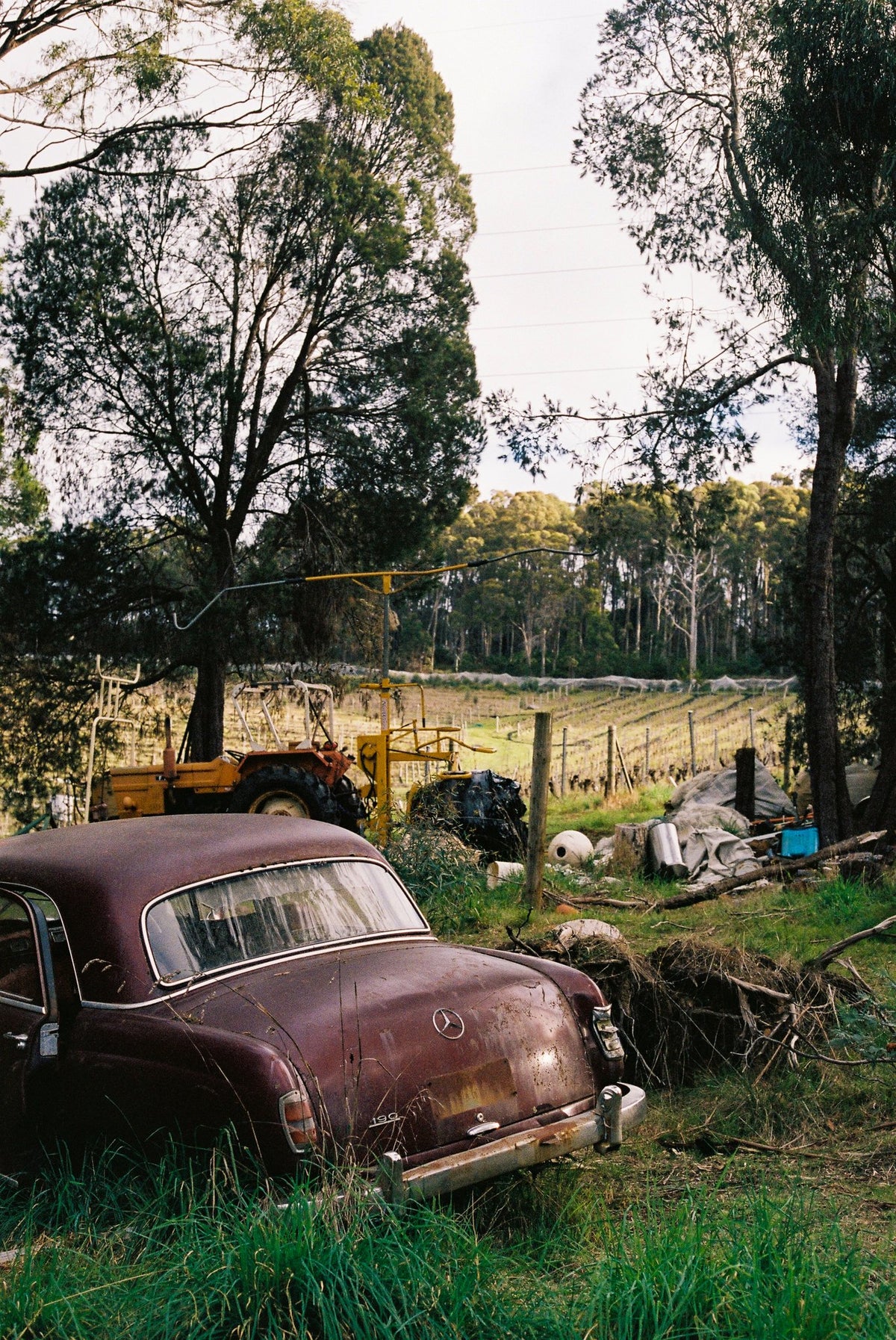 Photograph by Leo Casey, Hillvale Photo Trophy 2026 entry #0127