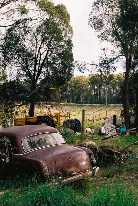 Photograph by Leo Casey, Hillvale Photo Trophy 2026 entry #0127