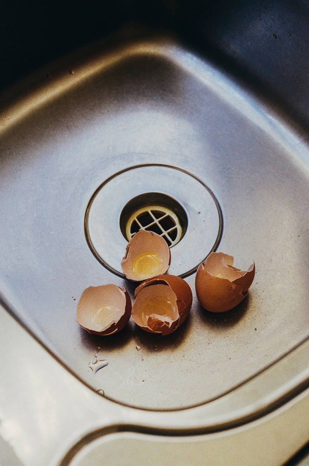 Photograph by Taylah Chapman, Hillvale Photo Trophy 2026 entry #0137