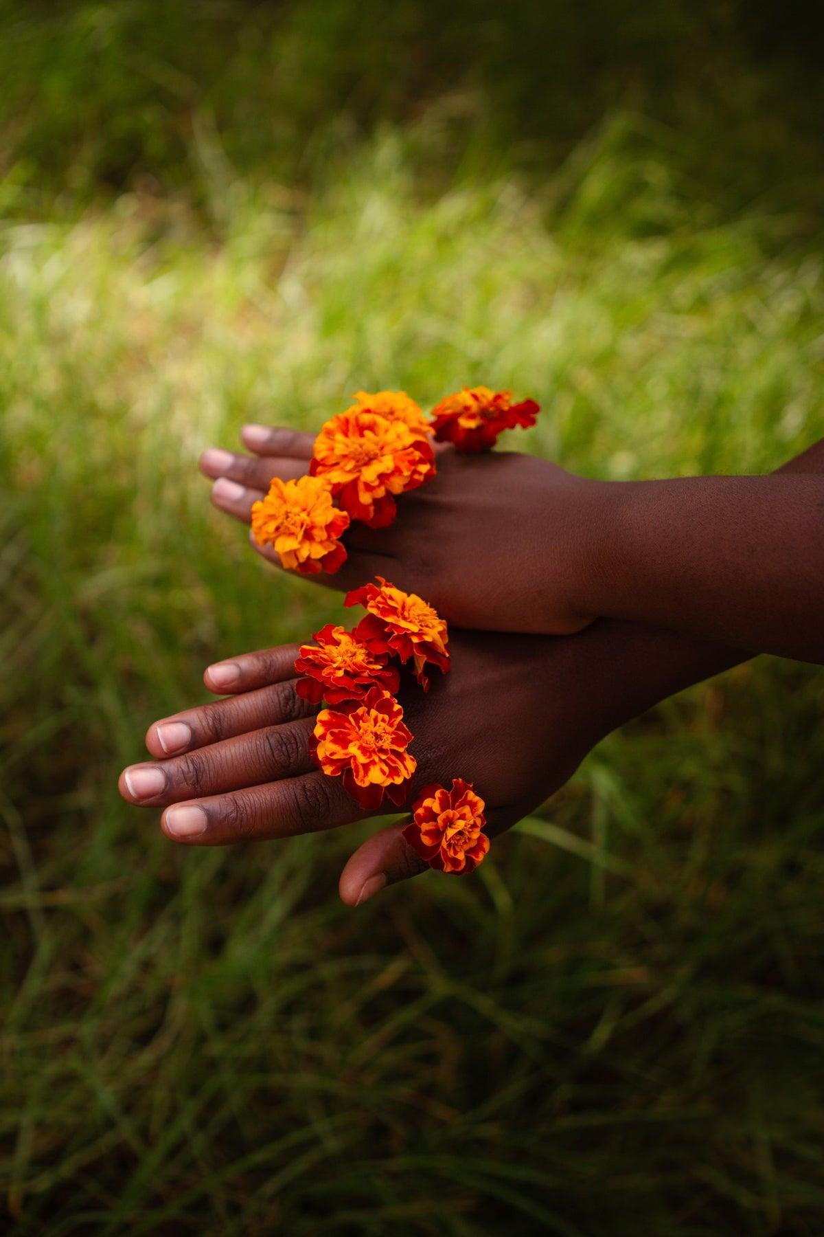 Photograph by Abhi Chinniah, Hillvale Photo Trophy 2026 entry #0146