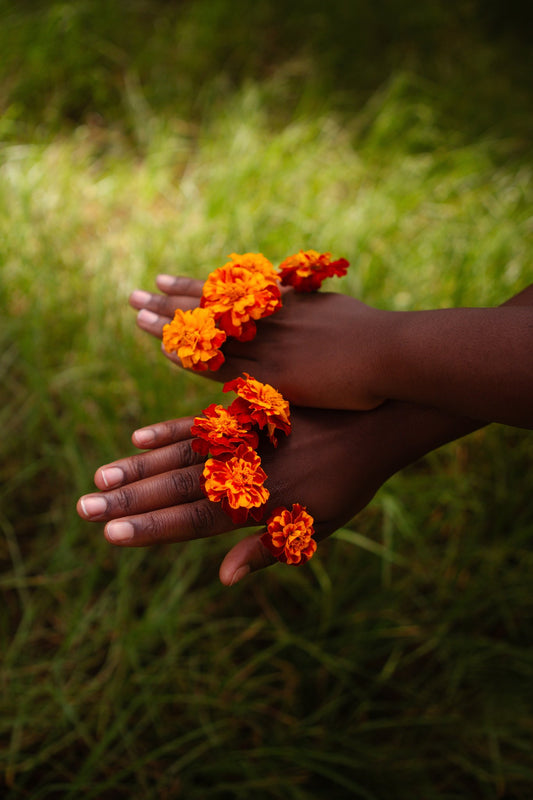 Photograph by Abhi Chinniah, Hillvale Photo Trophy 2026 entry #0146