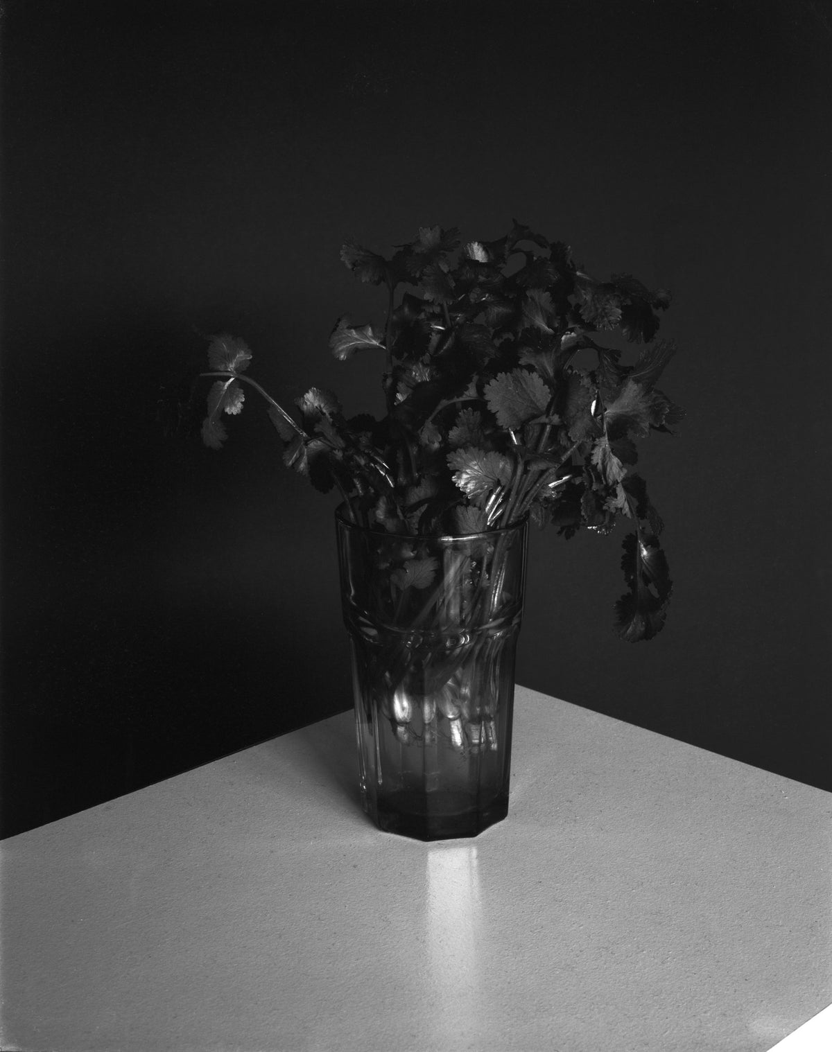 Photograph by Ali Choudhry, Hillvale Photo Trophy 2026 entry #0147