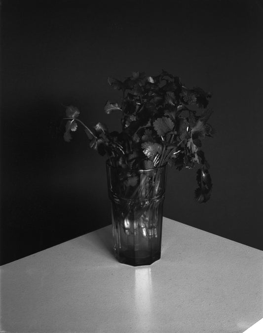 Photograph by Ali Choudhry, Hillvale Photo Trophy 2026 entry #0147