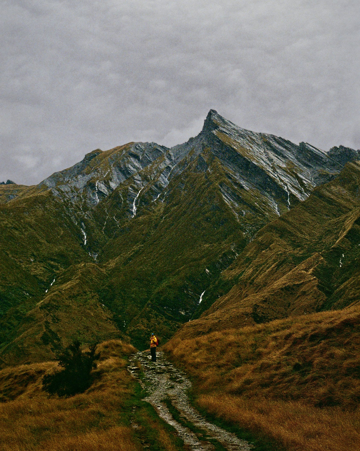 Photograph by Tessa Consedine, Hillvale Photo Trophy 2026 entry #0168