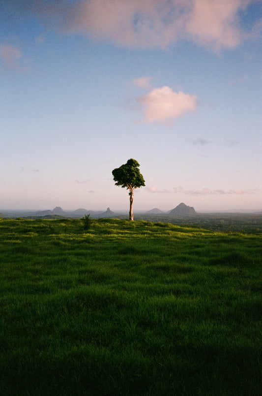 Photograph by Ryan Cuerden, Hillvale Photo Trophy 2026 entry #0184