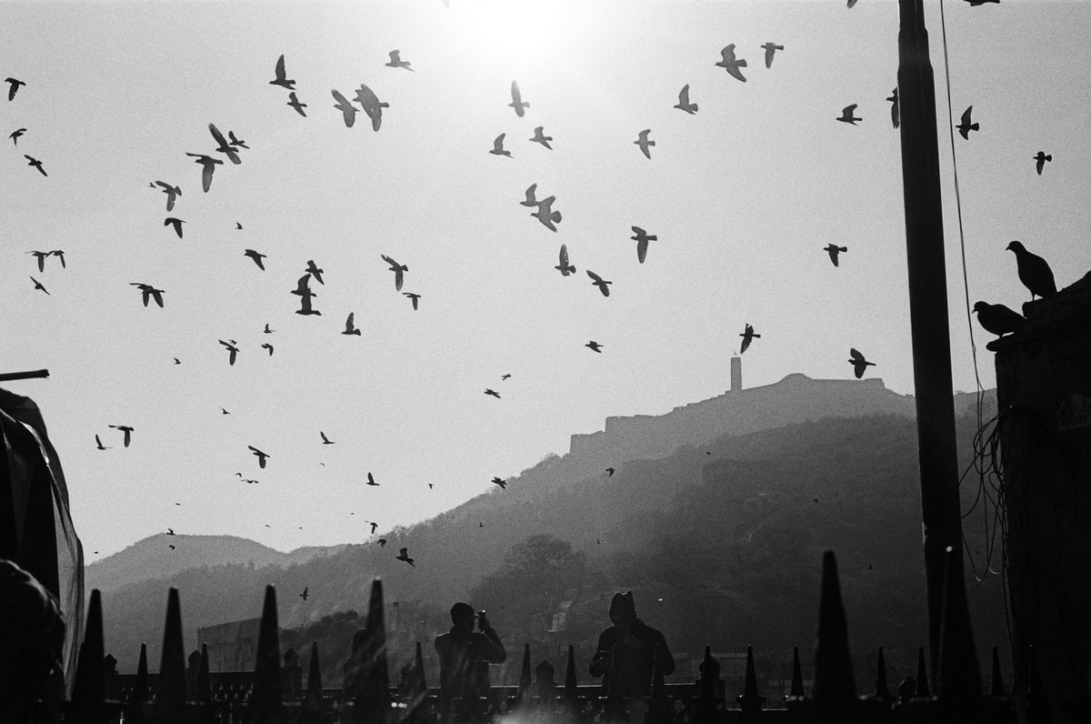 Photograph by Natasha Curato, Hillvale Photo Trophy 2026 entry #0187