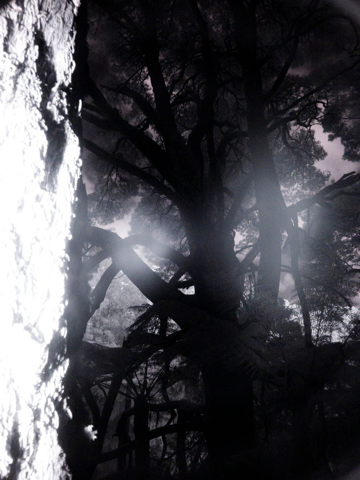Photograph by Dorah Daud, Hillvale Photo Trophy 2026 entry #0200
