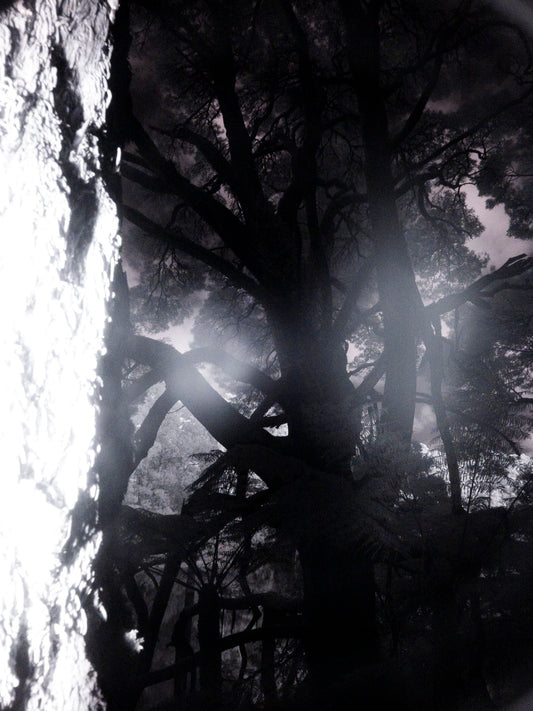 Photograph by Dorah Daud, Hillvale Photo Trophy 2026 entry #0200