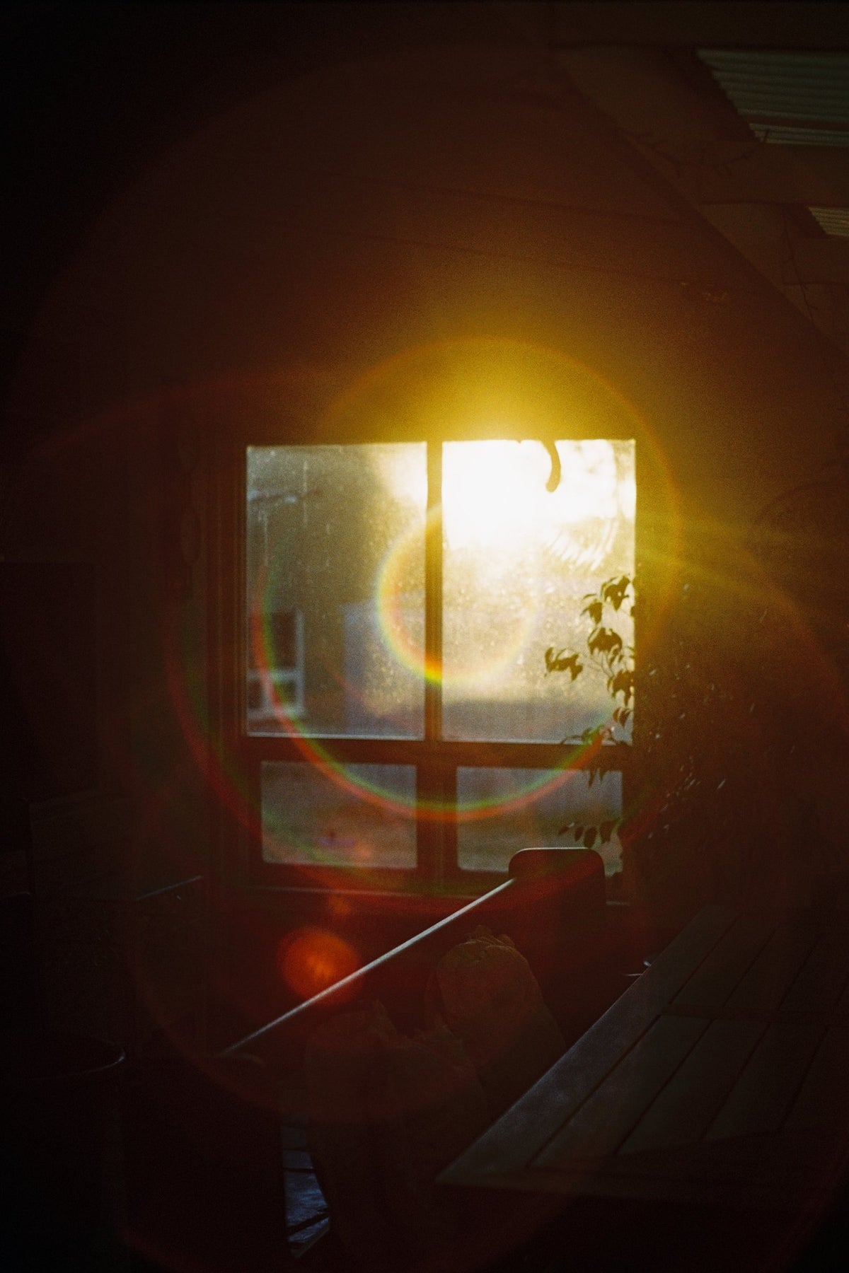 Photograph by Alice de Rohan, Hillvale Photo Trophy 2026 entry #0213