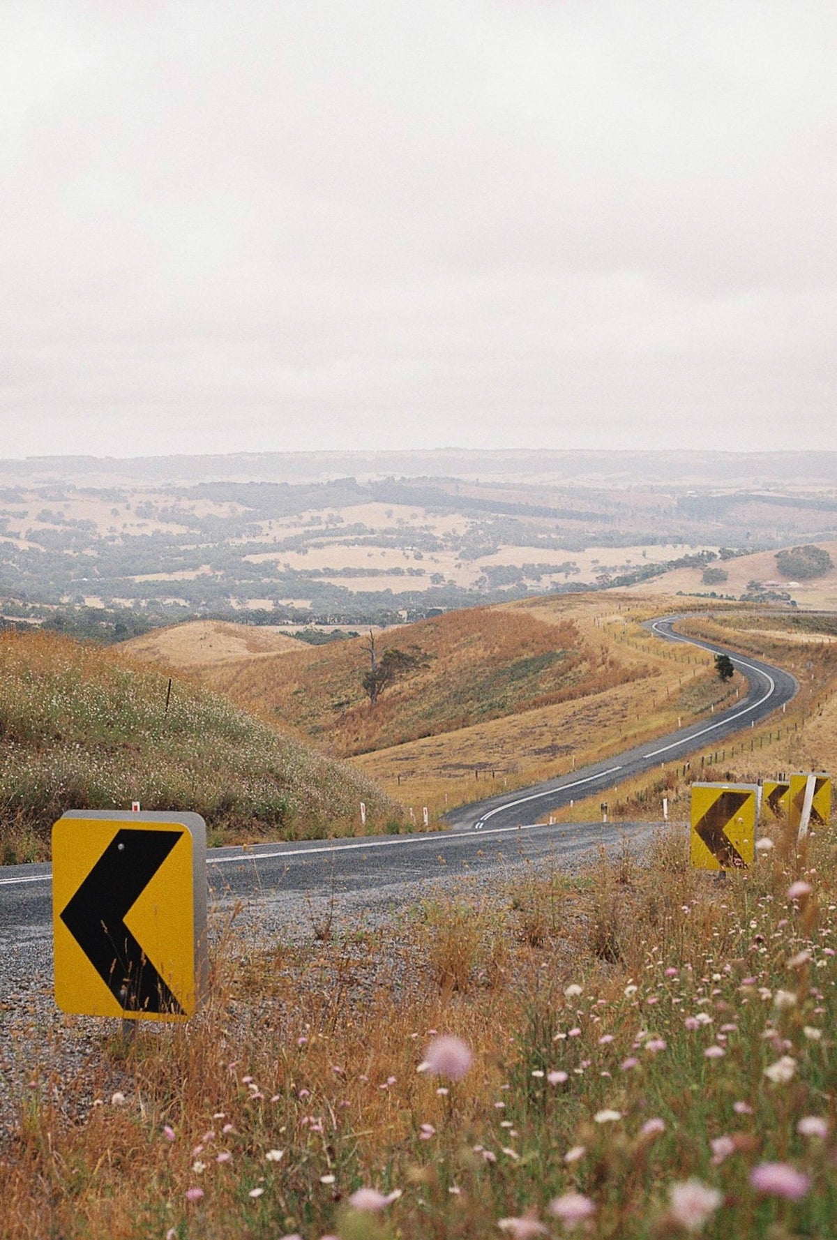 Photograph by Alice de Rohan, Hillvale Photo Trophy 2026 entry #0214