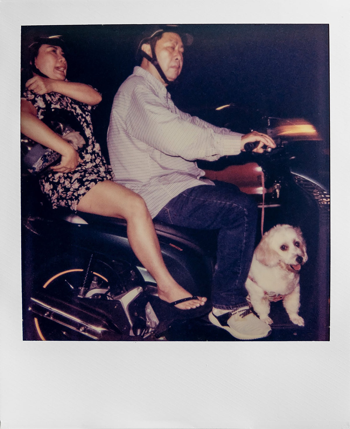 Photograph by Jessie DiBlasi, Hillvale Photo Trophy 2026 entry #0224