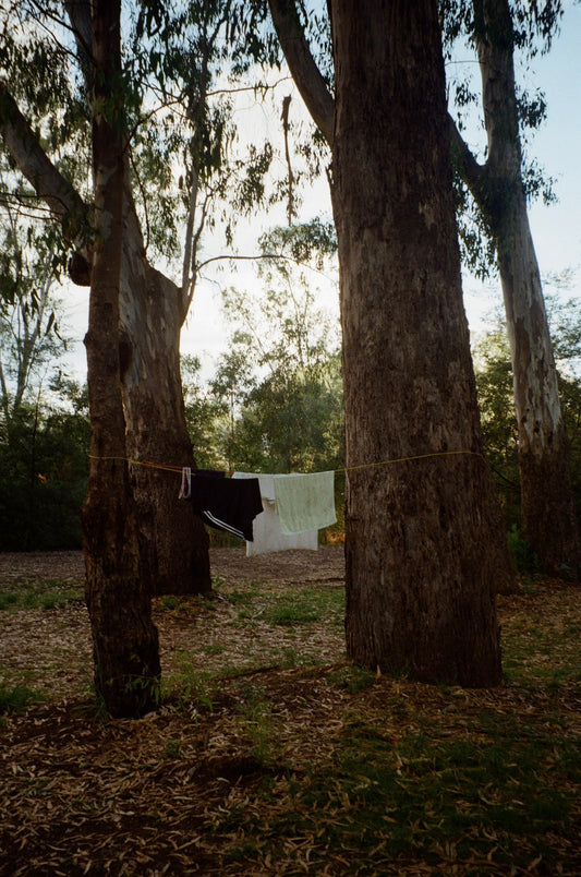 Photograph by Emily Doran, Hillvale Photo Trophy 2026 entry #0233