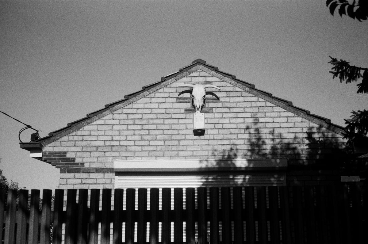 Photograph by Lilien Dunell, Hillvale Photo Trophy 2026 entry #0243