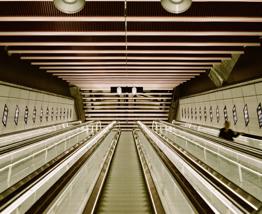 Photograph by Robert Ferrington, Hillvale Photo Trophy 2026 entry #0271