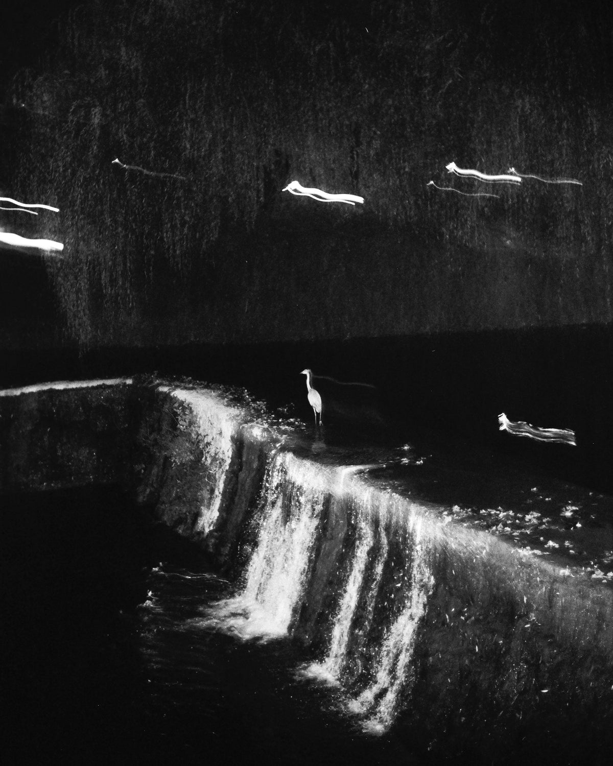 Photograph by Marta Figueiredo, Hillvale Photo Trophy 2026 entry #0273