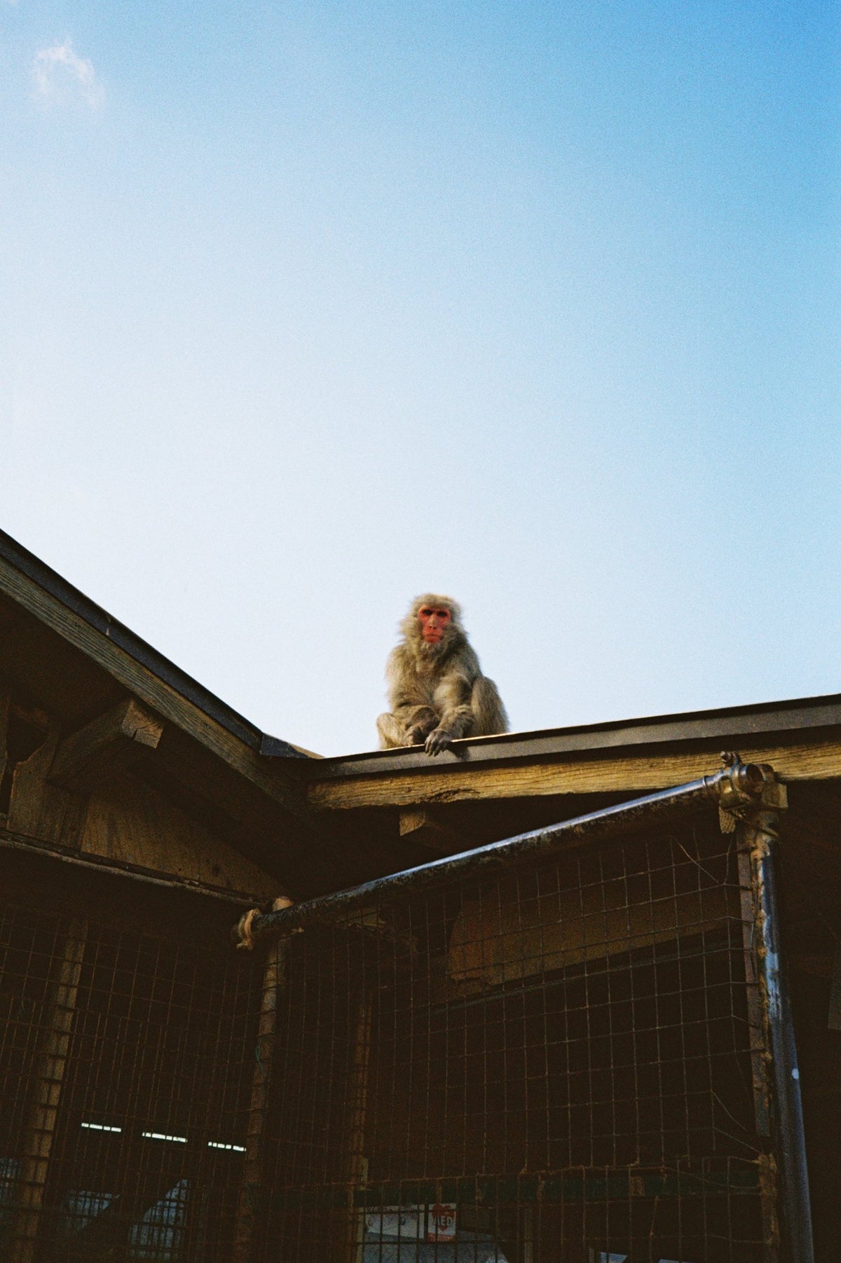 Photograph by Charlie Fowler, Hillvale Photo Trophy 2026 entry #0285