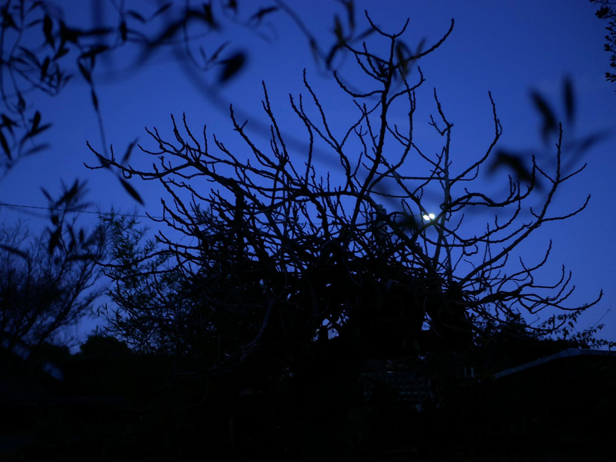 Photograph by Matt Garner, Hillvale Photo Trophy 2026 entry #0309