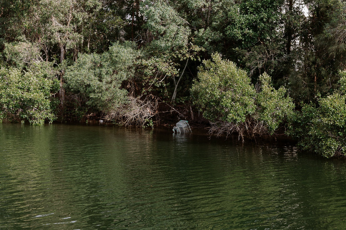 Photograph by Terrence Gillespie, Hillvale Photo Trophy 2026 entry #0323