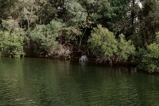 Photograph by Terrence Gillespie, Hillvale Photo Trophy 2026 entry #0323