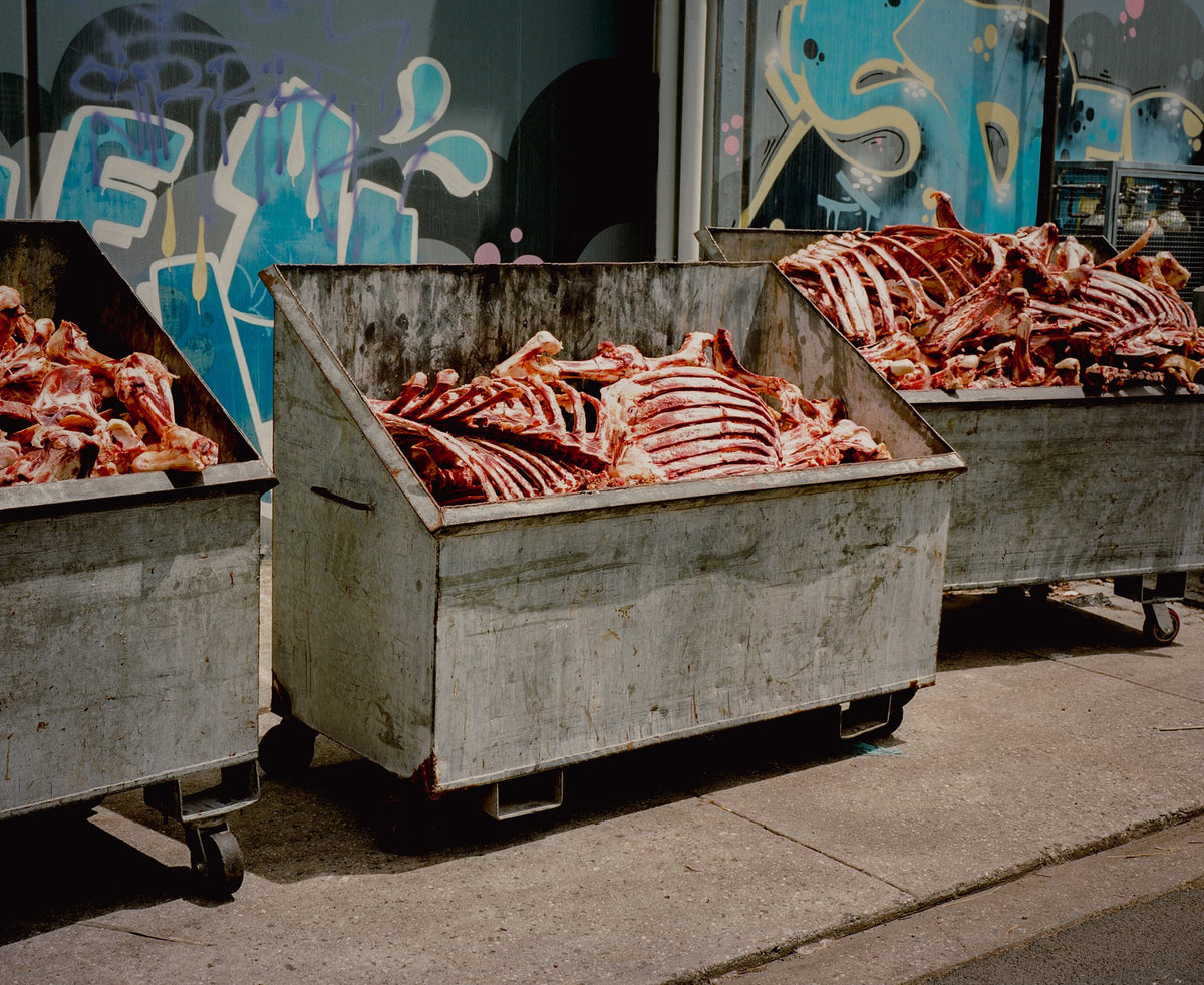 Photograph by Ed Gorwell, Hillvale Photo Trophy 2026 entry #0335