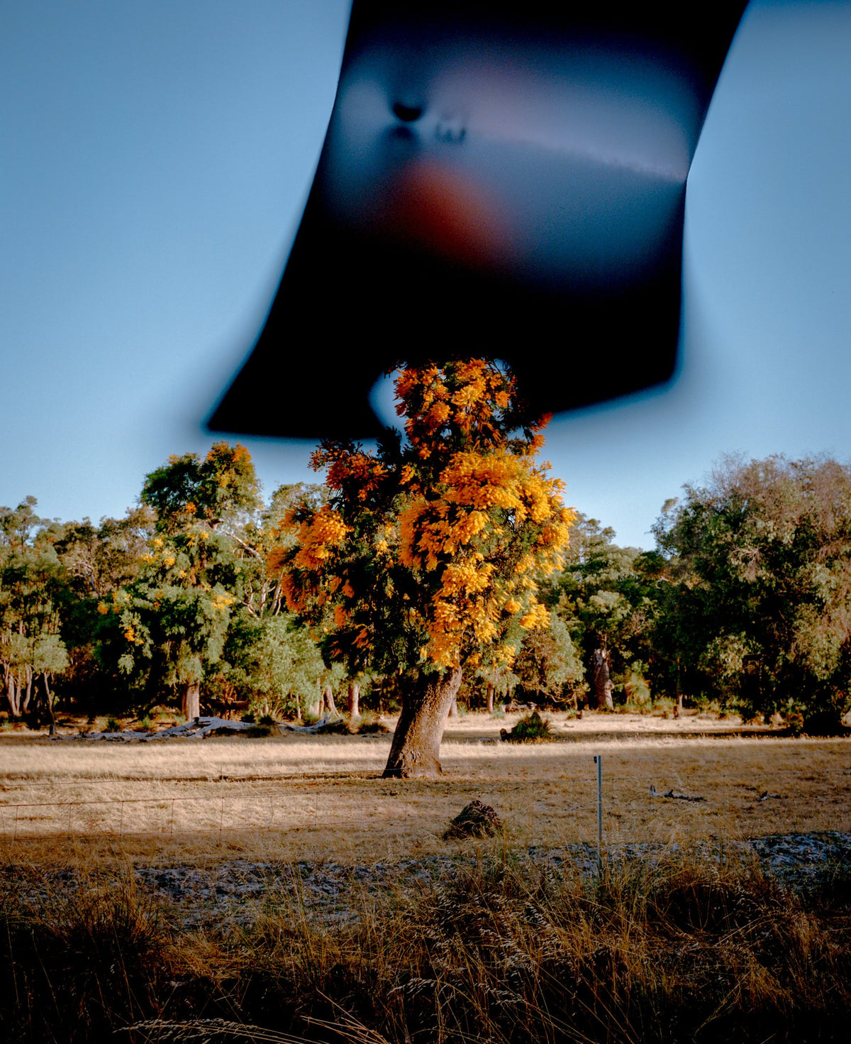 Photograph by Ed Gorwell, Hillvale Photo Trophy 2026 entry #0336