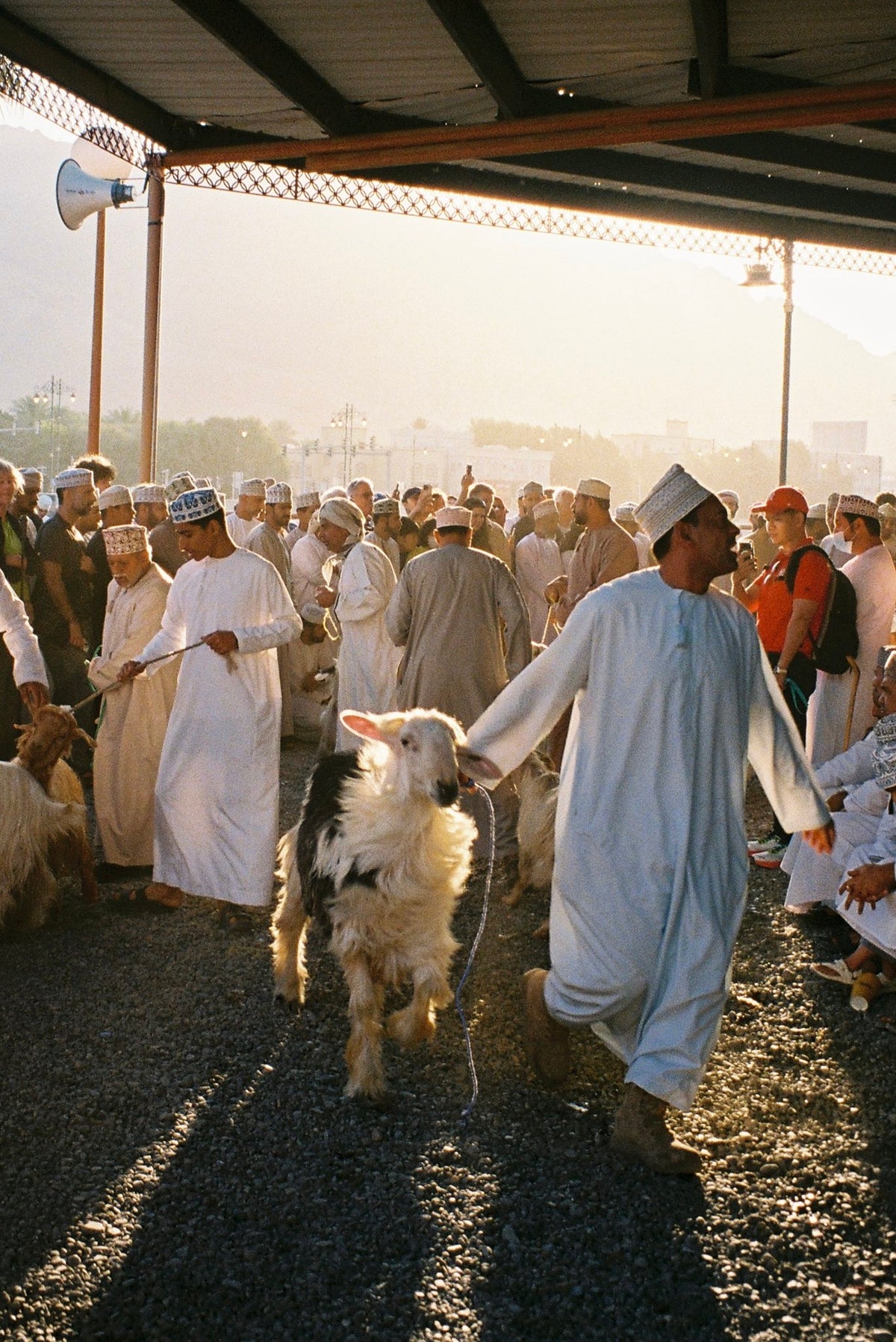 Photograph by Olivia Graham, Hillvale Photo Trophy 2026 entry #0345