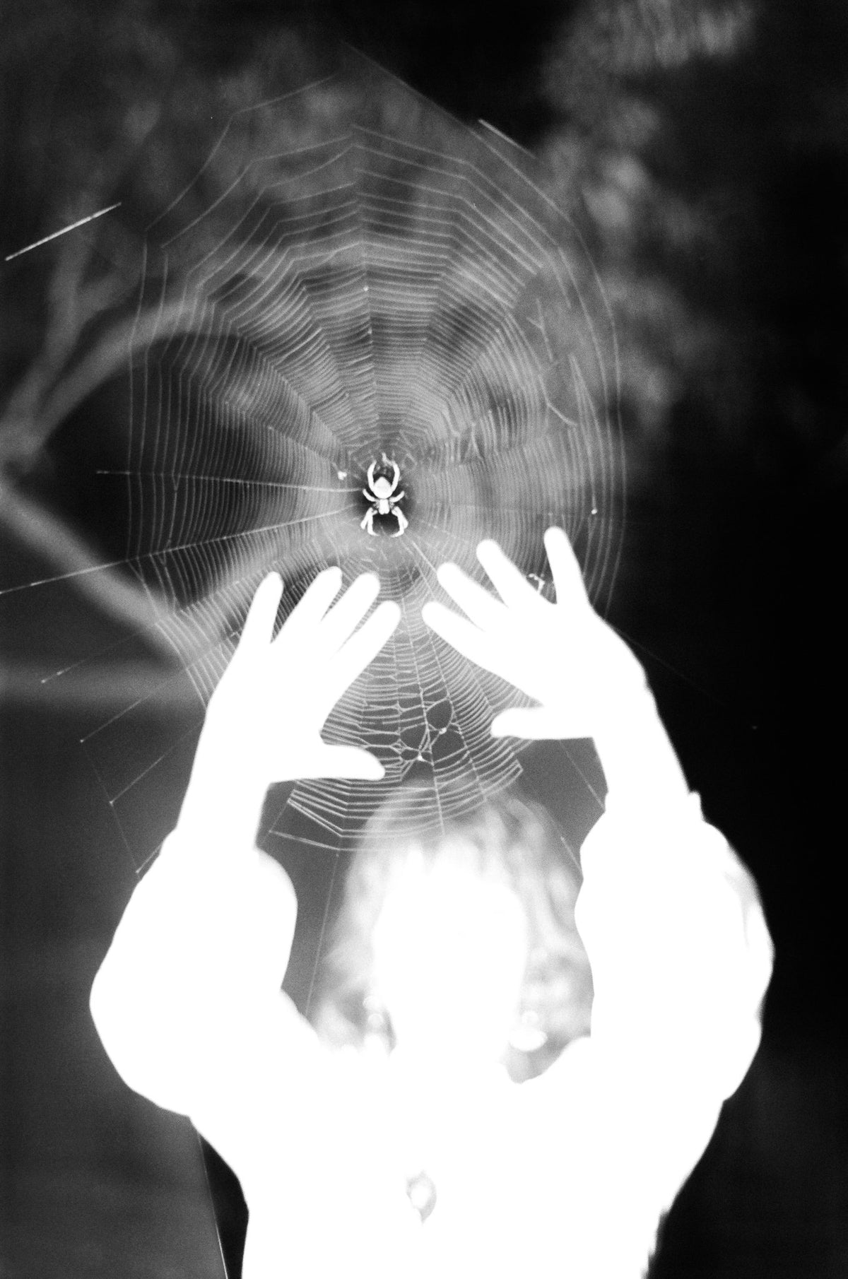 Photograph by Kaine Green, Hillvale Photo Trophy 2026 entry #0351