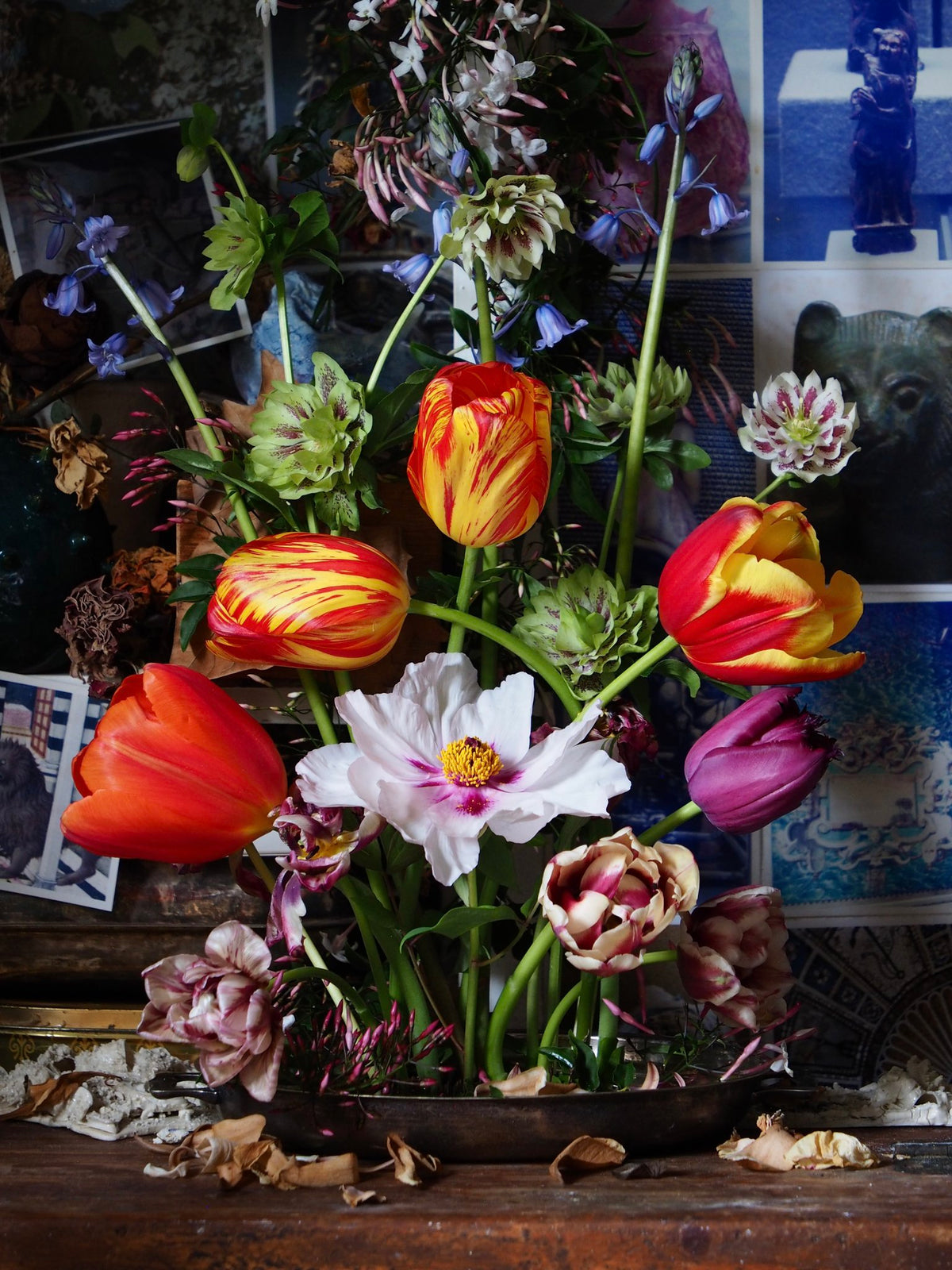 Photograph by Irene Grishin-Selzer, Hillvale Photo Trophy 2026 entry #0359