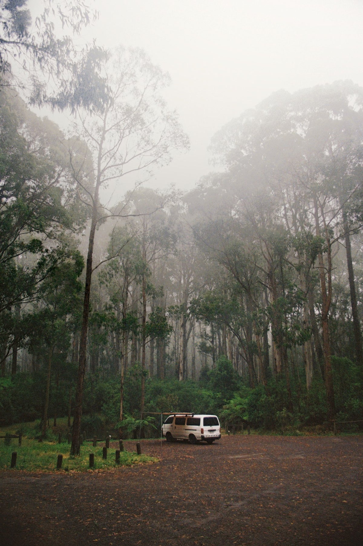 Photograph by Kate Harley, Hillvale Photo Trophy 2026 entry #0384