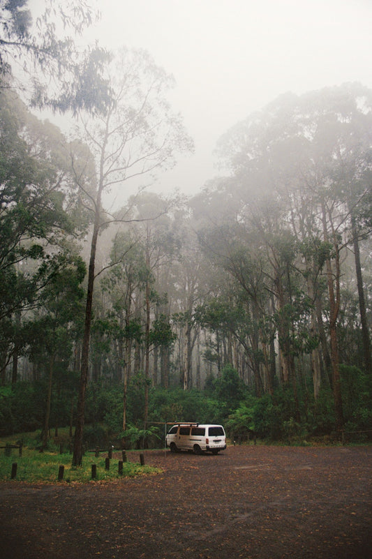 Photograph by Kate Harley, Hillvale Photo Trophy 2026 entry #0384