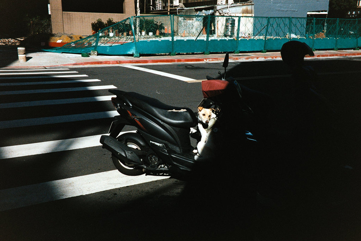 Photograph by Sande Harsa, Hillvale Photo Trophy 2026 entry #0394