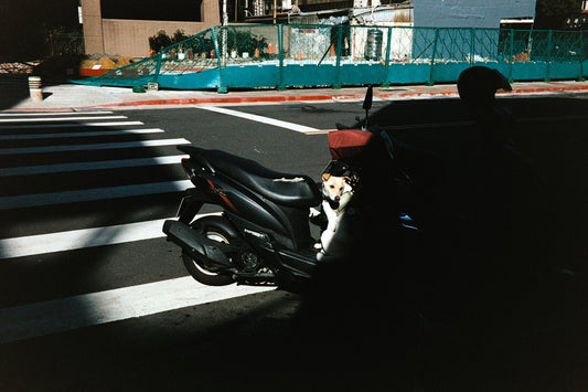 Photograph by Sande Harsa, Hillvale Photo Trophy 2026 entry #0394