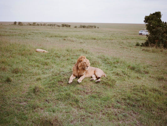 Photograph by Ben Hattingh, Hillvale Photo Trophy 2026 entry #0401