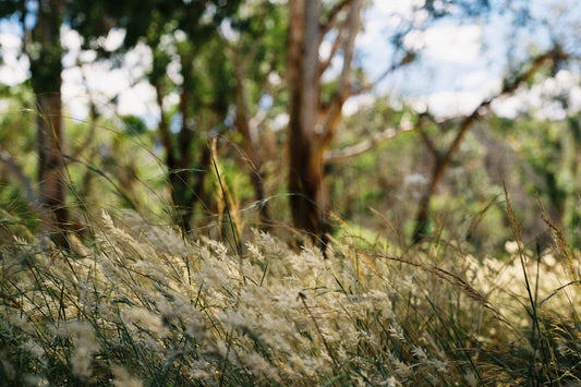 Photograph by Emma Holder, Hillvale Photo Trophy 2026 entry #0413