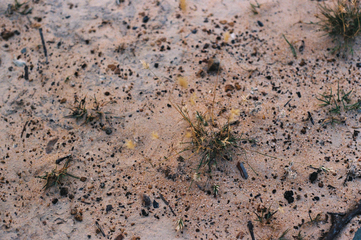 Photograph by Emma Holder, Hillvale Photo Trophy 2026 entry #0415