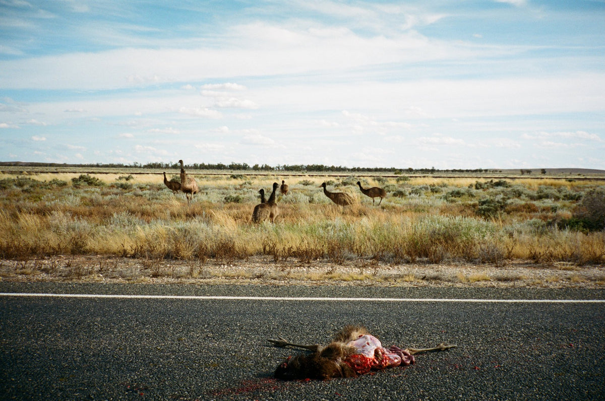 Photograph by William Horan, Hillvale Photo Trophy 2026 entry #0420