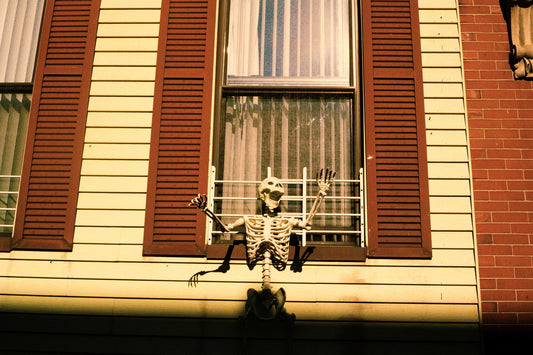 Photograph by Bridget Huolohan, Hillvale Photo Trophy 2026 entry #0437