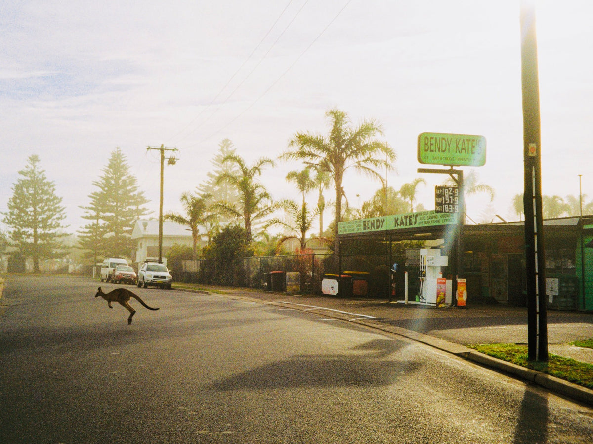 Photograph by Henny Jenkins, Hillvale Photo Trophy 2026 entry #0453