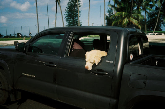 Photograph by Jason Knight, Hillvale Photo Trophy 2026 entry #0480