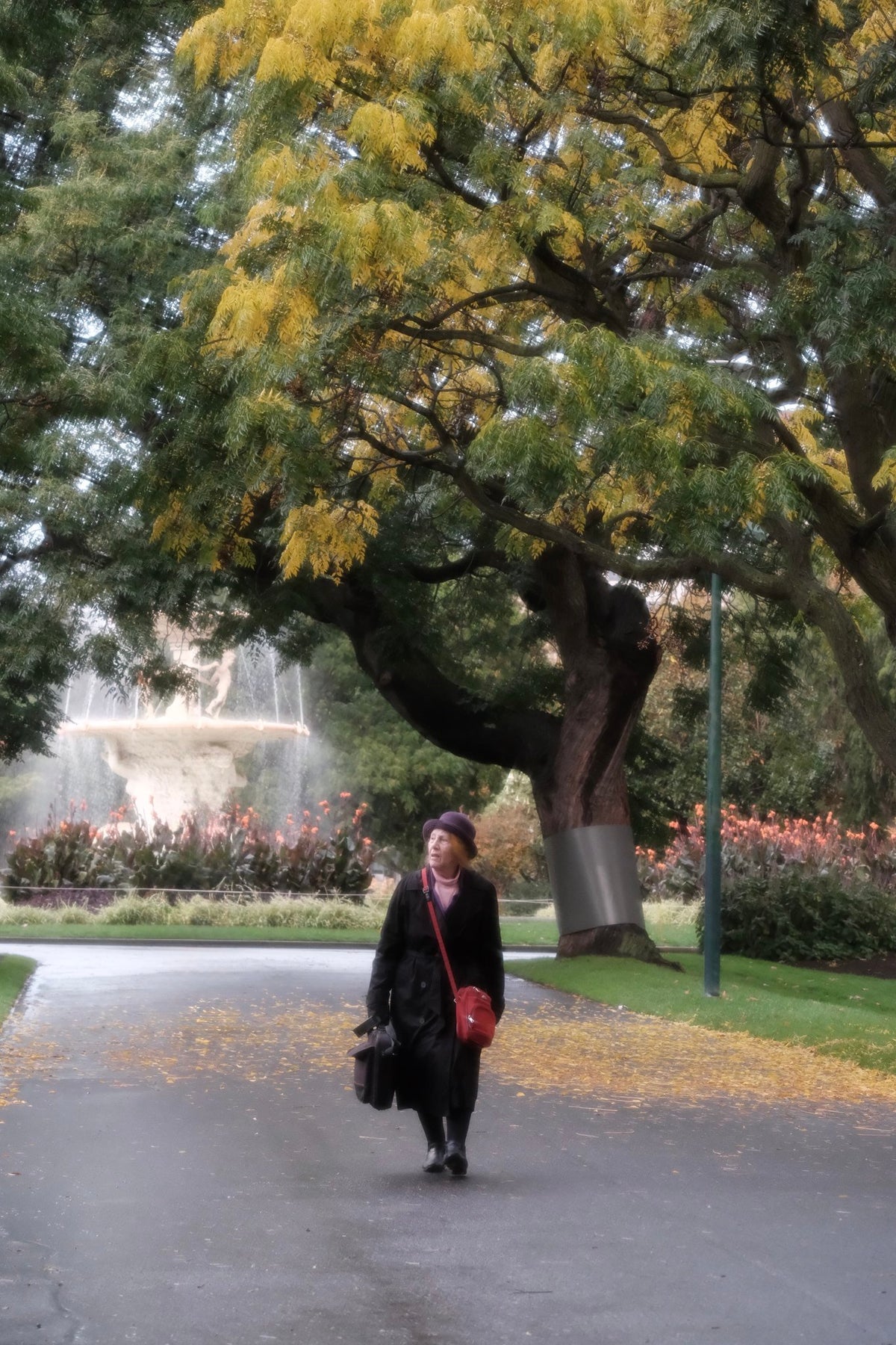 Photograph by Lillia Latka, Hillvale Photo Trophy 2026 entry #0497