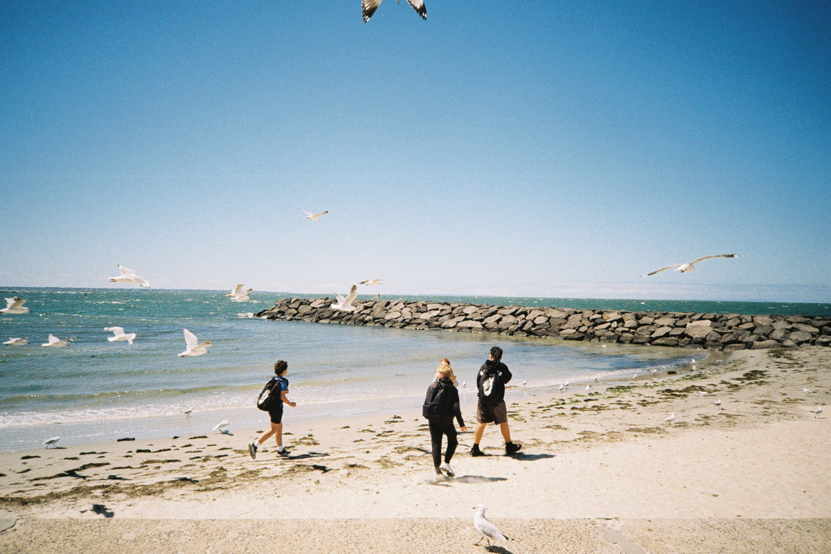 Photograph by Tingyu Lin, Hillvale Photo Trophy 2026 entry #0511