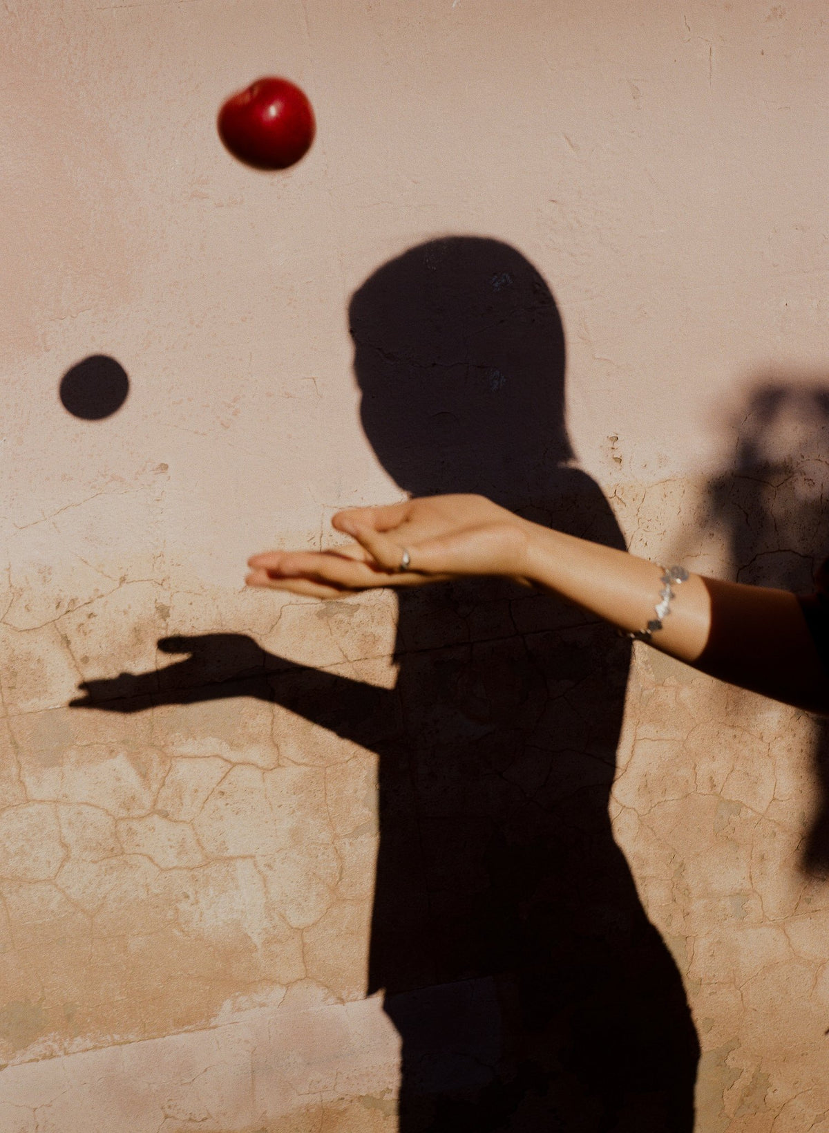 Photograph by Max Liu, Hillvale Photo Trophy 2026 entry #0519