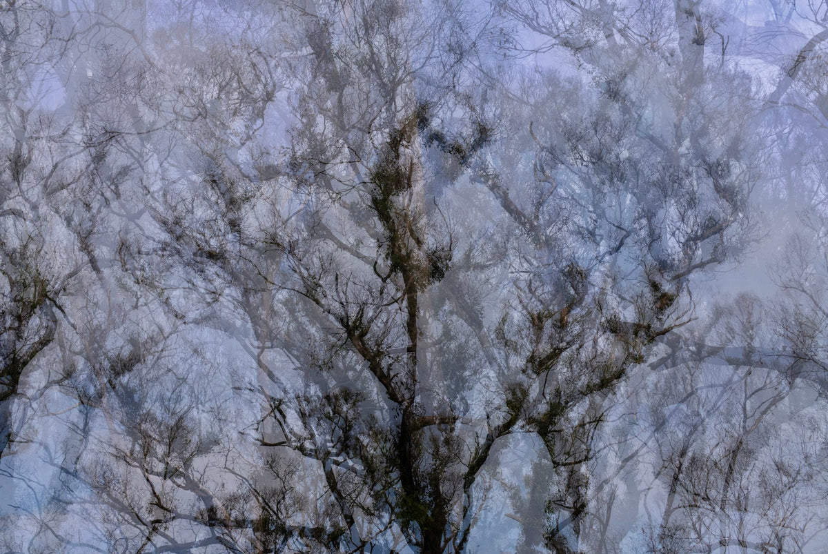 Photograph by Julie Millowick, Hillvale Photo Trophy 2026 entry #0590