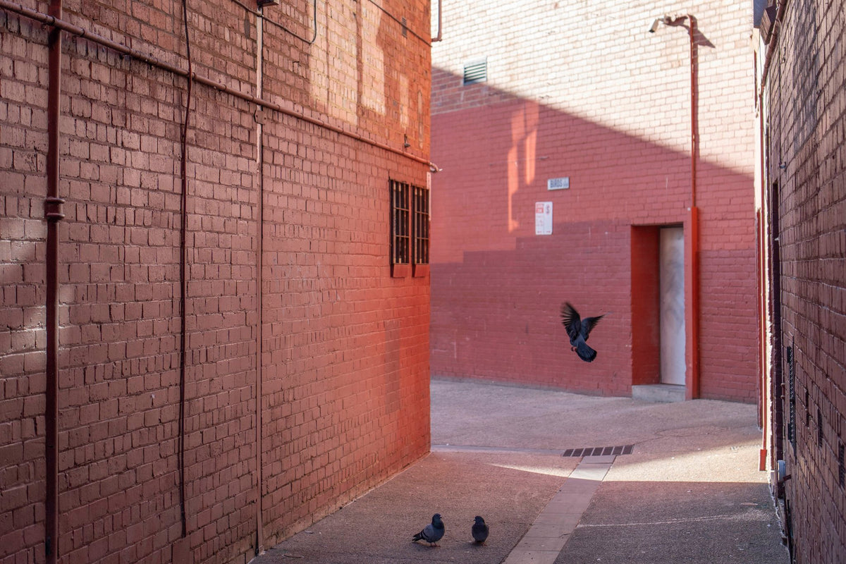 Photograph by Jessica Millsom, Hillvale Photo Trophy 2026 entry #0592