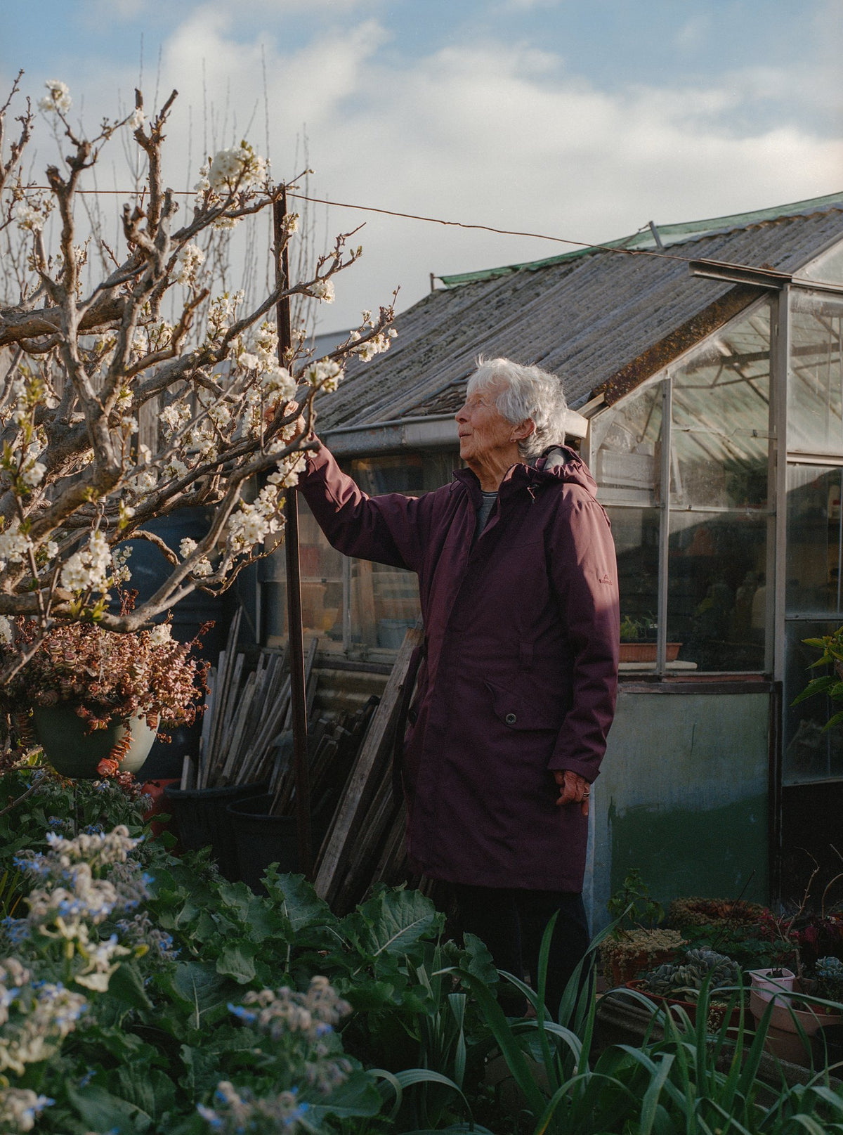 Photograph by Kate Molenkamp, Hillvale Photo Trophy 2026 entry #0601