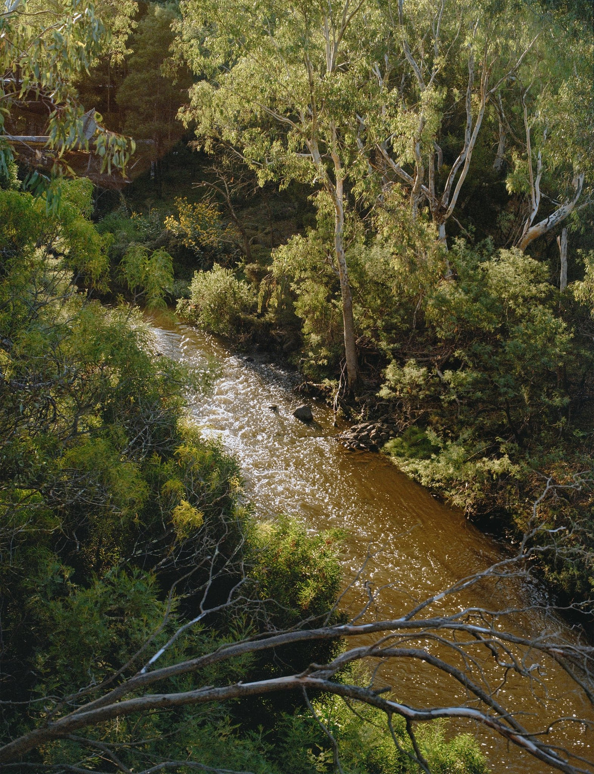 Photograph by Kate Molenkamp, Hillvale Photo Trophy 2026 entry #0602