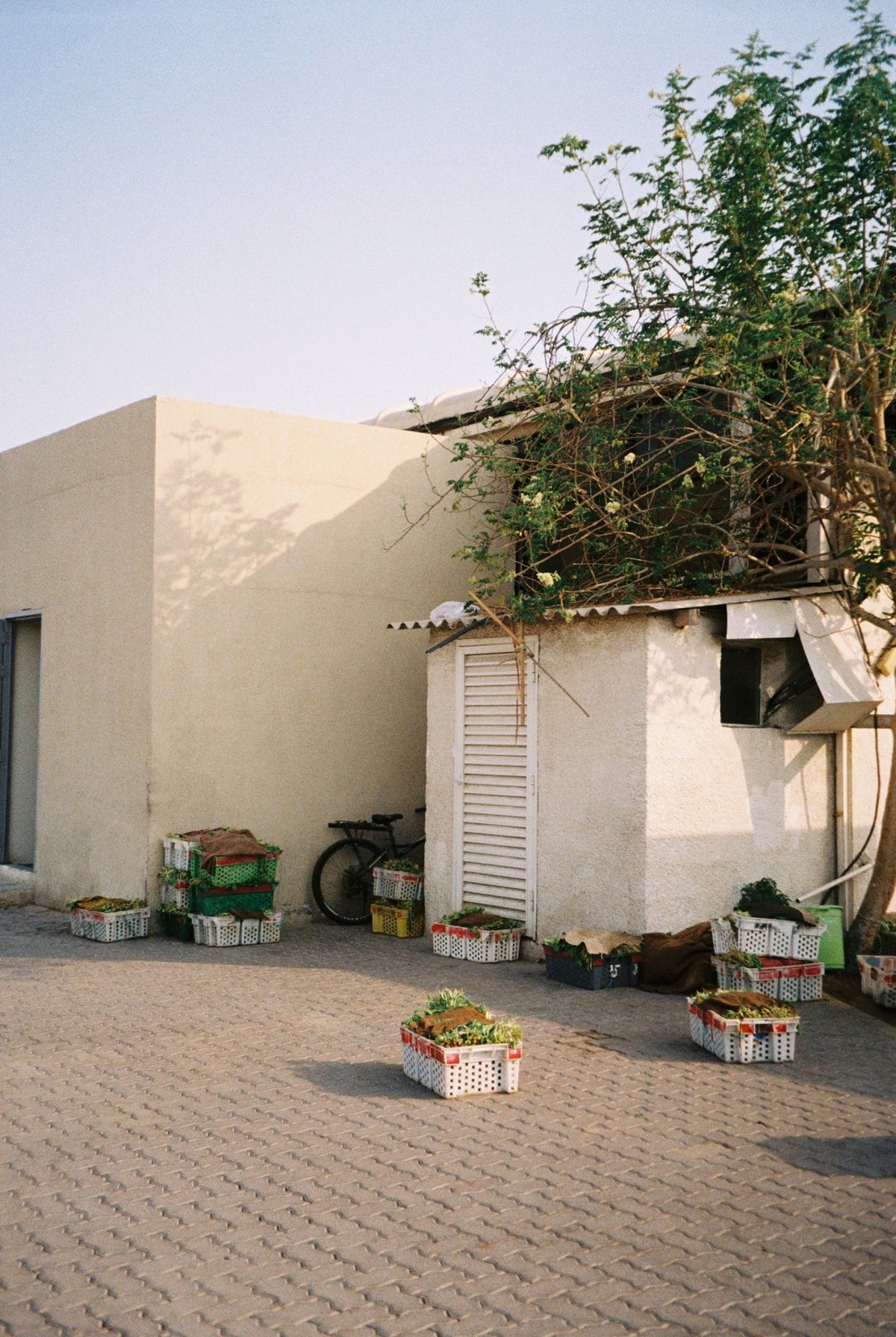 Photograph by Francesca Moore, Hillvale Photo Trophy 2026 entry #0606
